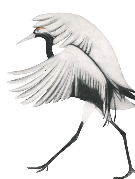 The Grateful Crane - A Tale of Selflessness and Unexpected Rewards From 7th Century China!